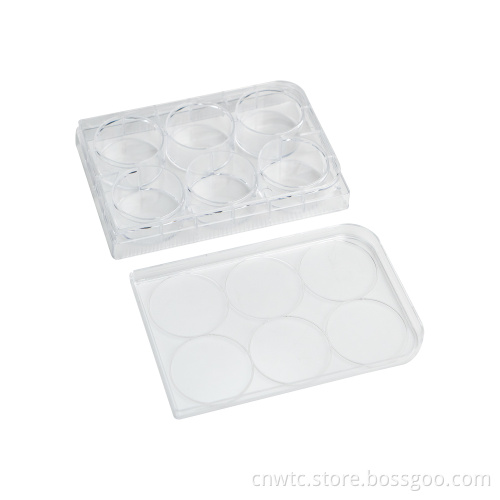 Lab Sterile 6-Well Tissue Culture Plate with 6 Holes: Ideal for Scientific Research and Cell Culture Experiments